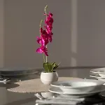 Apartamento Velvet Sunset Penthouse *