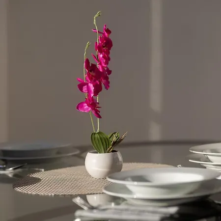 Appartement Velvet Sunset Penthouse *